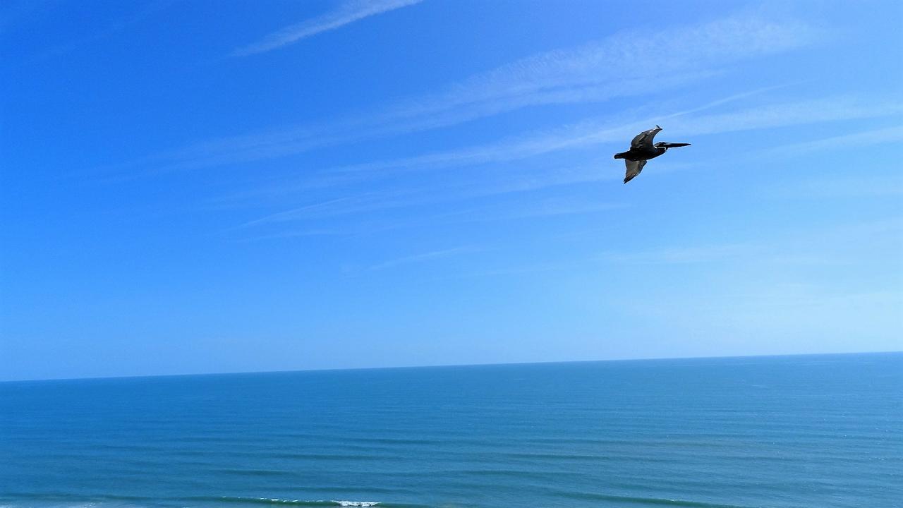Penthouse Floor 1 Bedroom Resort Condo Direct Oceanfront Wyndham Ocean Walk - Daytona Funland 1908 Daytona Beach Extérieur photo